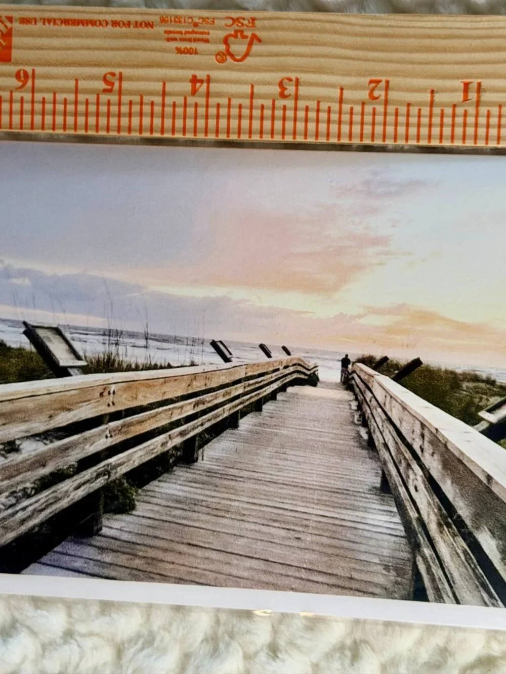 Coastal Blank Note Card- 